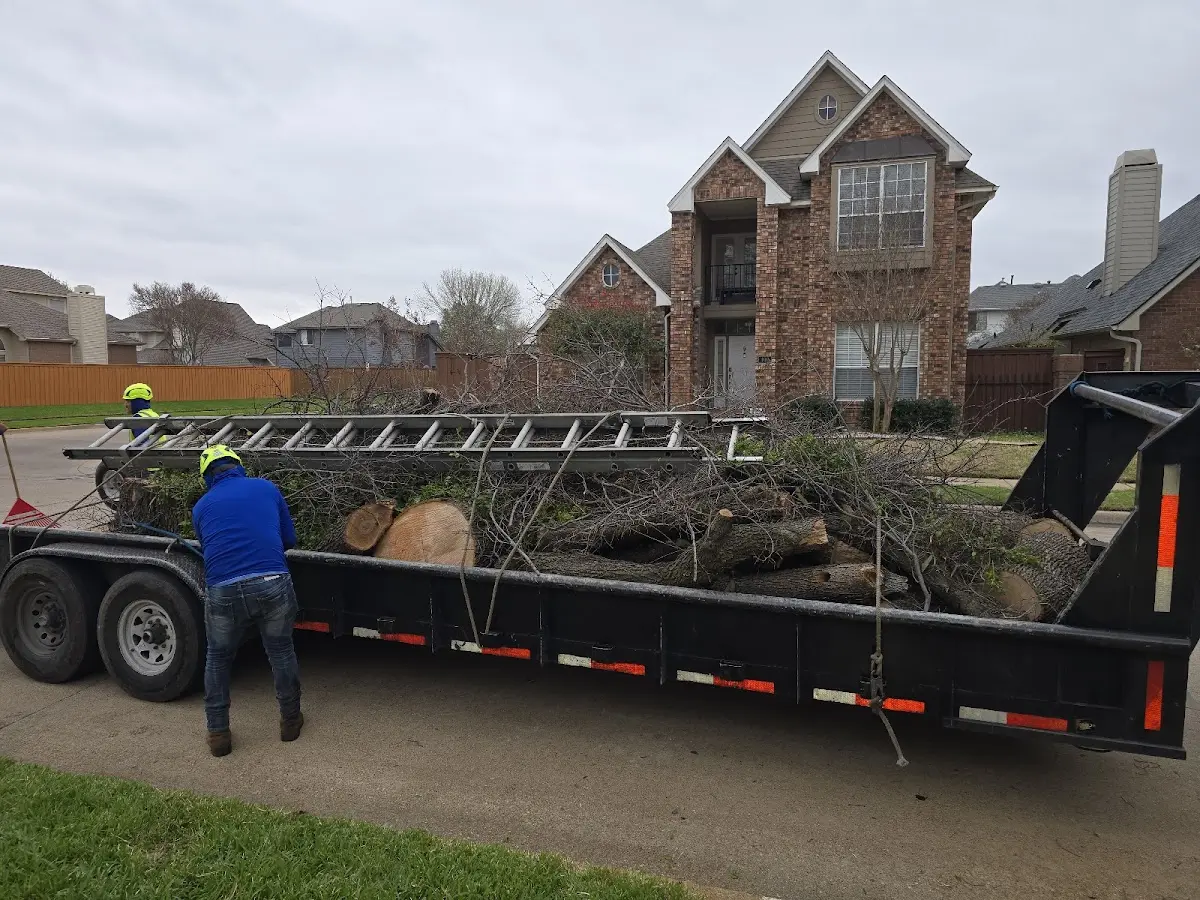 Expert Tree Fertilization with proper safety equipment in Nickelsville
